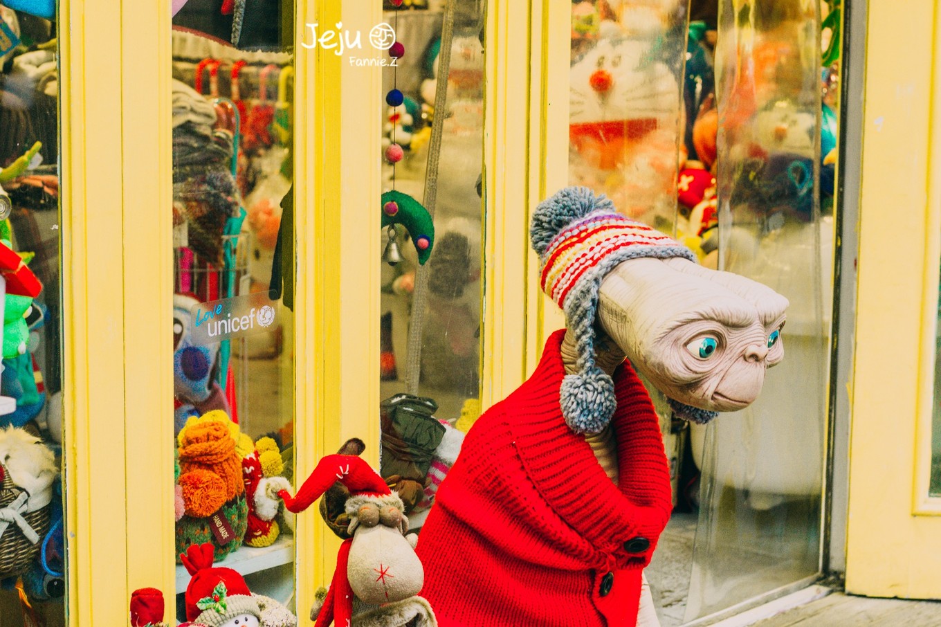 #嗨buy新罗#冬日,济州岛!想大声说遇见你有多幸运