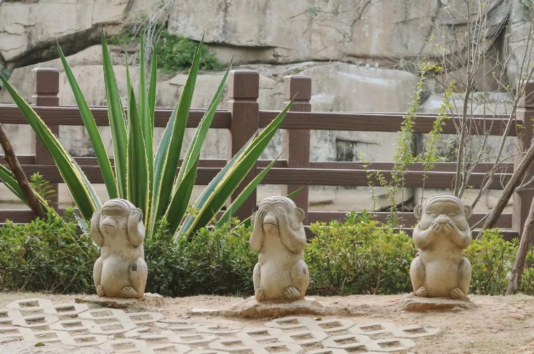 在动物园散步才是正经事|暴走福州