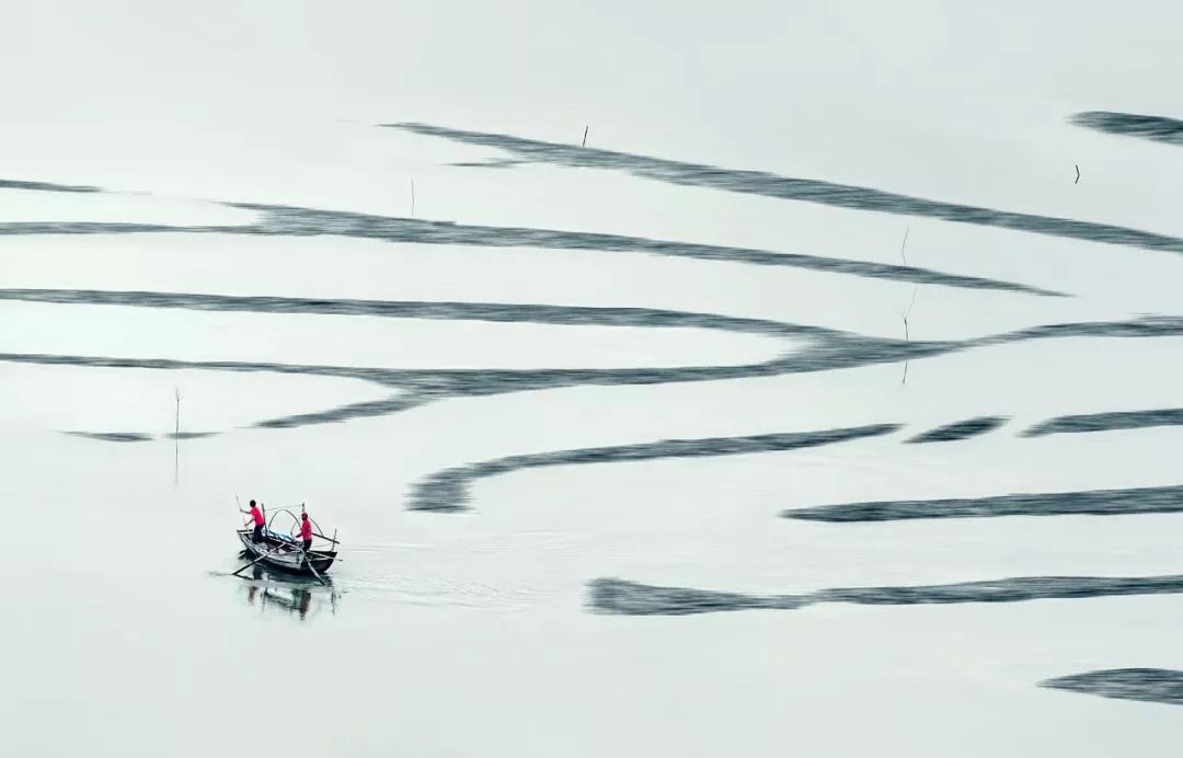 公务员考试易混淆60个成语汇总,人民日报100个易混淆成语辨析