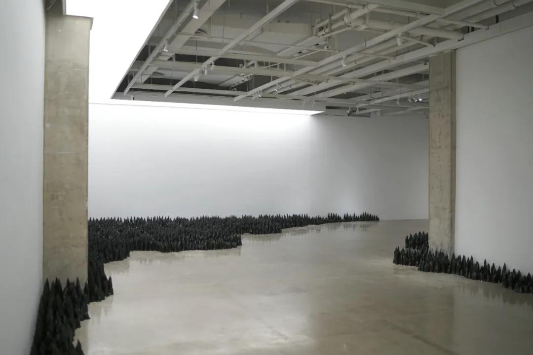 刘建华艺术展览,艺术家刘建华