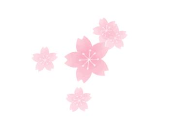 马鞍山滨江公园樱花开了吗,马鞍山雨山樱花