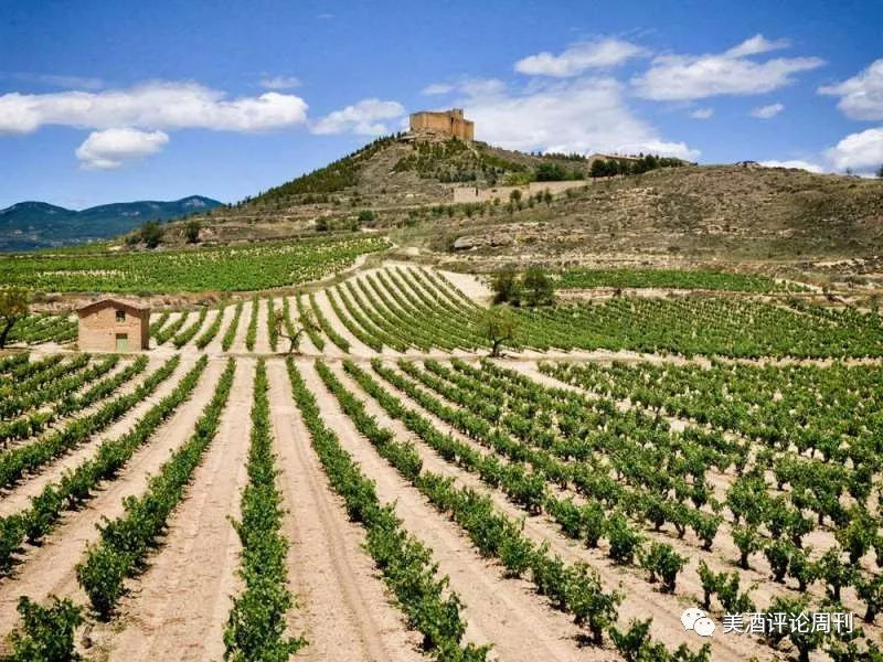 最贵、最知名、最超值、最具潜力！充满「最」的超级话题性产区