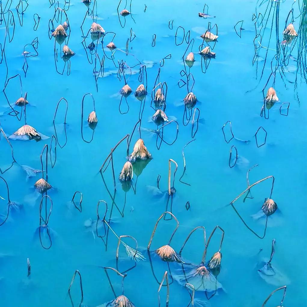 华为新影像大赛9张图,2019华为新影像大赛