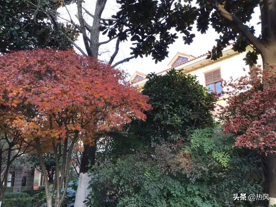 张家港暨阳湖一号住的人,张家港暨阳湖壹号住的人