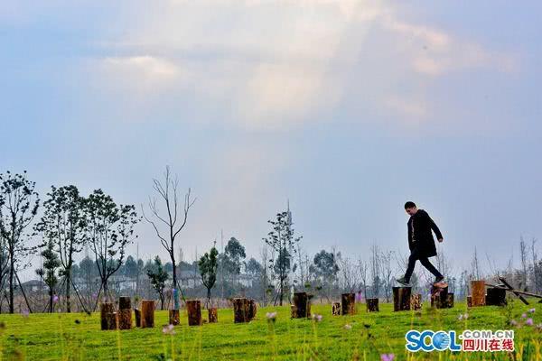 成都锦江绿道江家艺苑,成都锦城江家艺苑