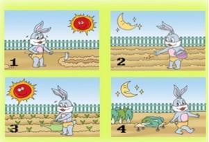 二年级看图说话写话训练,二年级看图写话图片及范文