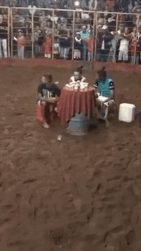 搞笑动图gif微信表情包2019,搞笑动图笑得肚子痛