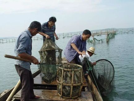 南昌vr产业大会直播回放,江西南昌vr大会在哪里