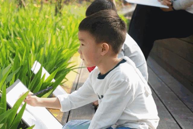 未来10天预警,深圳最最最最火的地方在这里,美女都赶来打卡