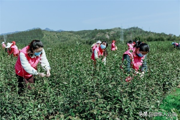 壹家人公益,壹家人志愿者在行动