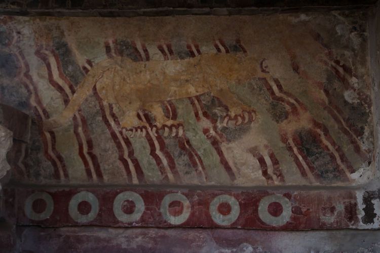 南美之旅总结篇,南美之行结束感悟