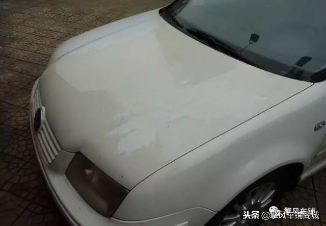 白色车漆为什么受欢迎,为什么现在白车非常多