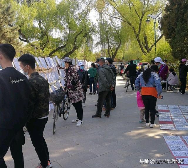 沈阳南湖公园老年相亲,最新沈阳南湖公园相亲