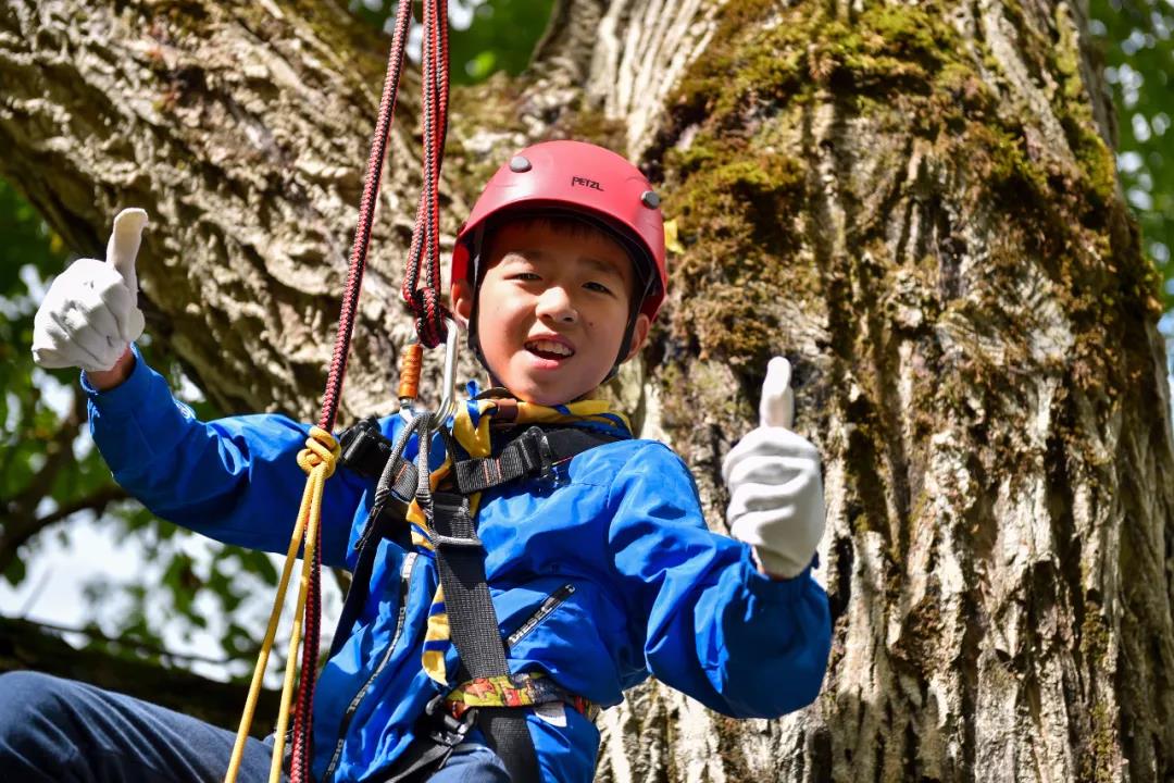 自然博物馆跟着孩子探索世界,自然博物馆跟着孩子探索