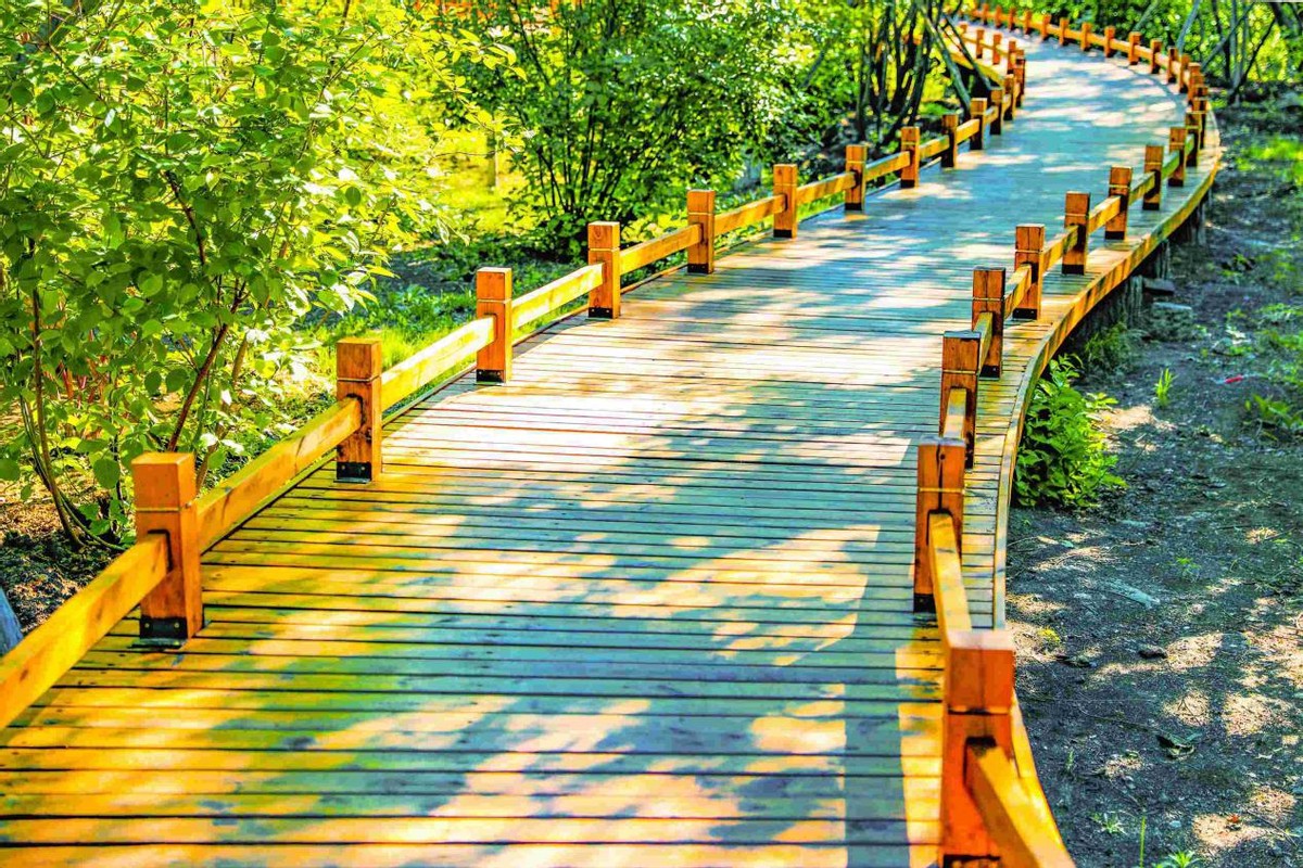 院士坐镇，开创全国唯一，坐拥亚洲第一，吉林大学这个学院太“牛气”！