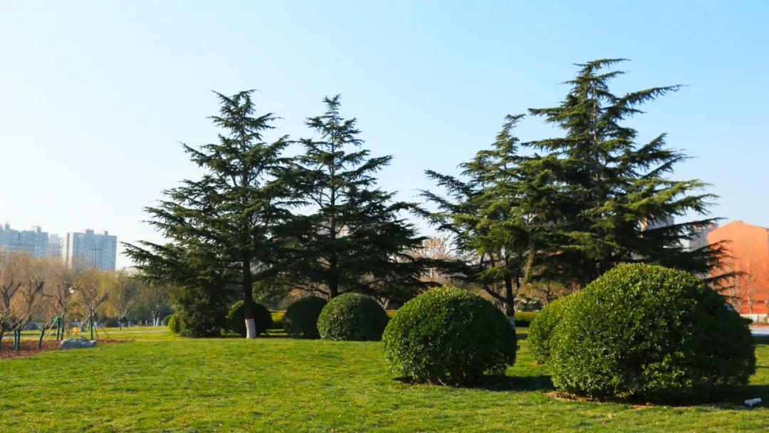 自怡园改造升级“妆成”待客