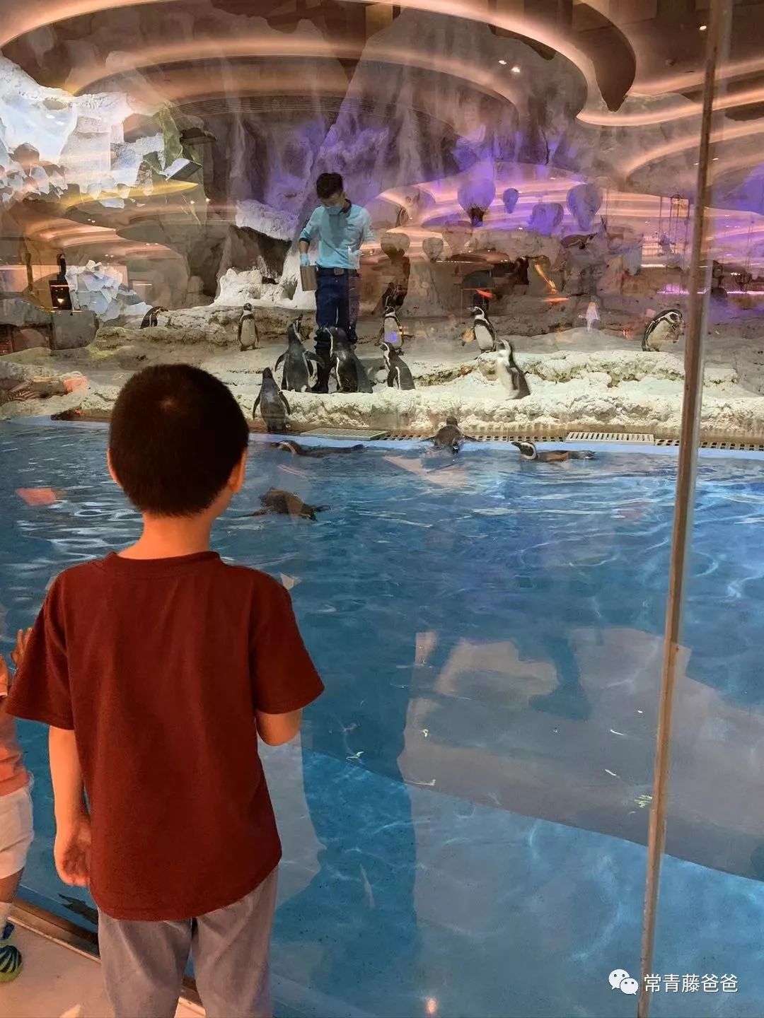 广州长隆攻略两天一夜住哪个酒店,去珠海长隆前一天下午游玩攻略