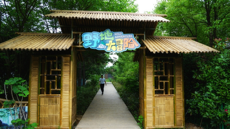 茅山宝盛园周边游玩,茅山宝盛园所有游乐设施