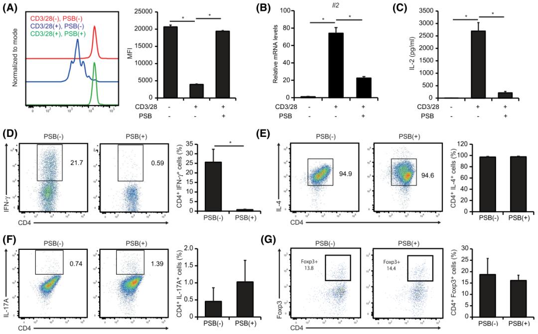 蓝莓干花青素可以减轻炎症反应,蓝莓便秘