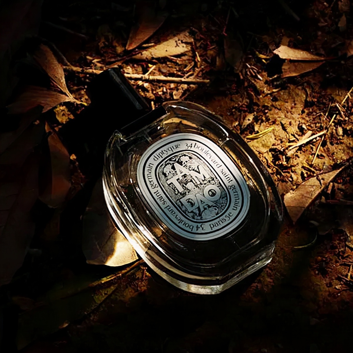 唯一一瓶必买的秋冬高级香水,无法拒绝的香水系列小众高级百搭