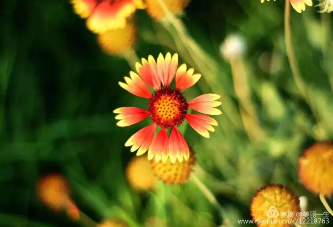 盛夏来感受传统古村落的气息,高青慢城