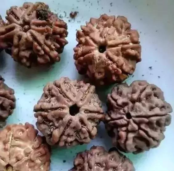 菩提手串有点生霉,菩提手串为什么会臭