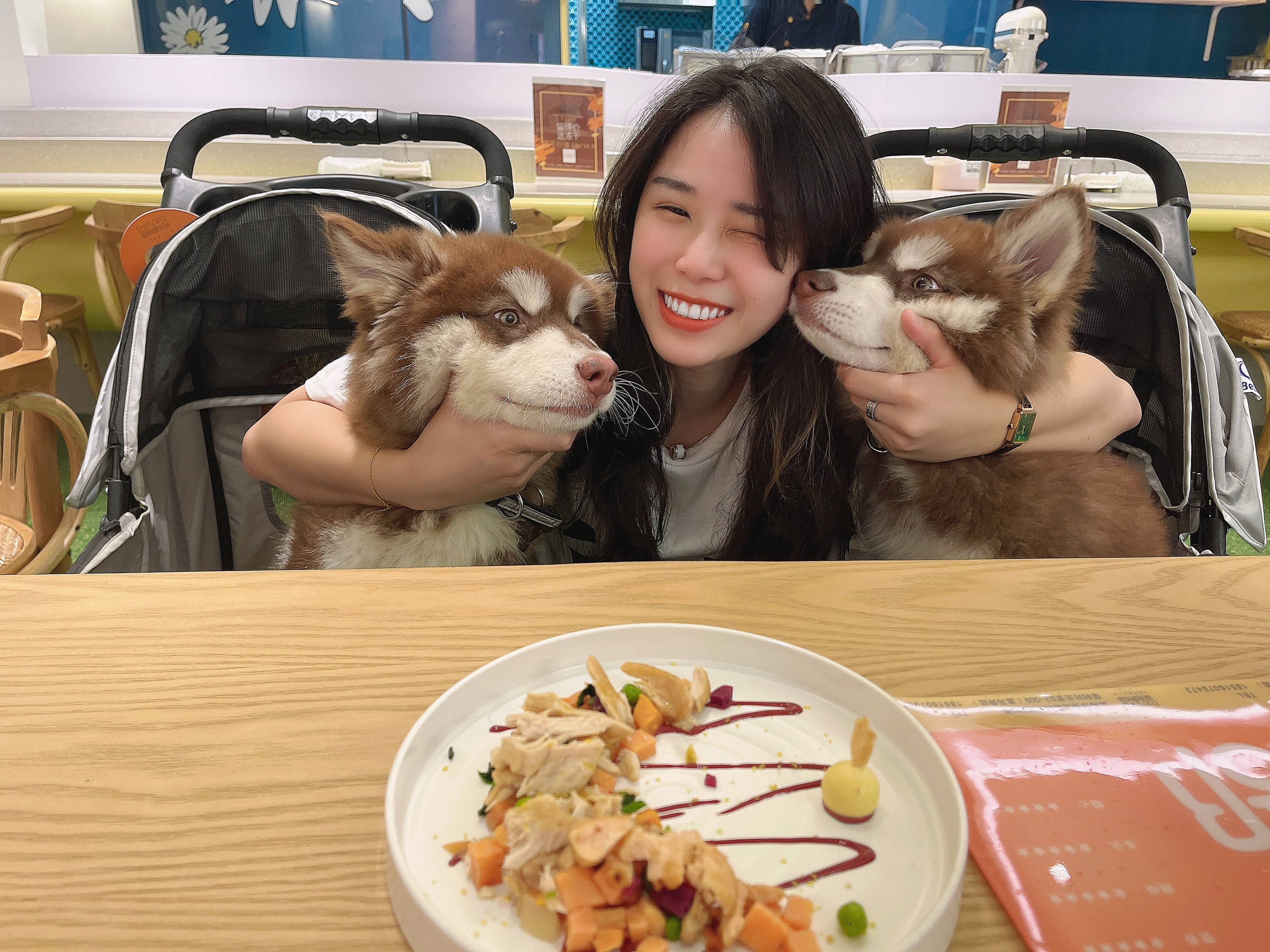 第一次养阿拉斯加犬需要注意什么,阿拉斯加犬怎么养新手必看