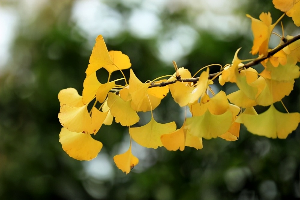 “贪婪之人，一看便知”：本性贪婪之人，有以下几个特征，需认清