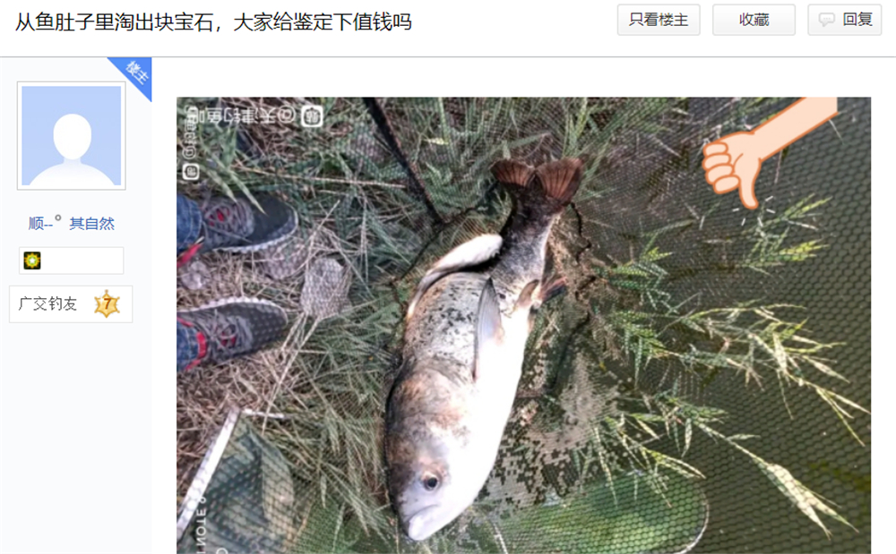 文能提竿安天下，武能执叉斗鳄鱼：鱼竿在手，万物皆有？