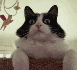 「颜纠所」敏感肌肤应该如何护理？