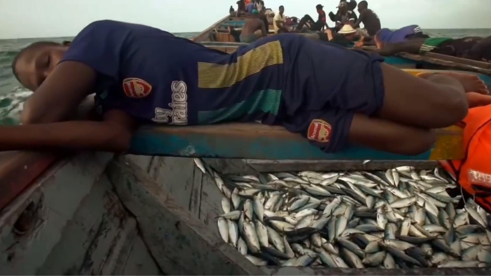 非洲人的捕鱼绝技，一天能捕7吨鱼，出海全凭肉眼找鱼