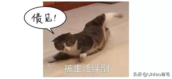 脚毛太长要刮掉吗,脚毛太长了能不能刮