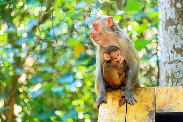 海南1号旅游公路,海南中国公路