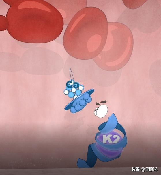 维生素k2的功效和钙d的作用一样么,维生素k1k2k3的作用及功效