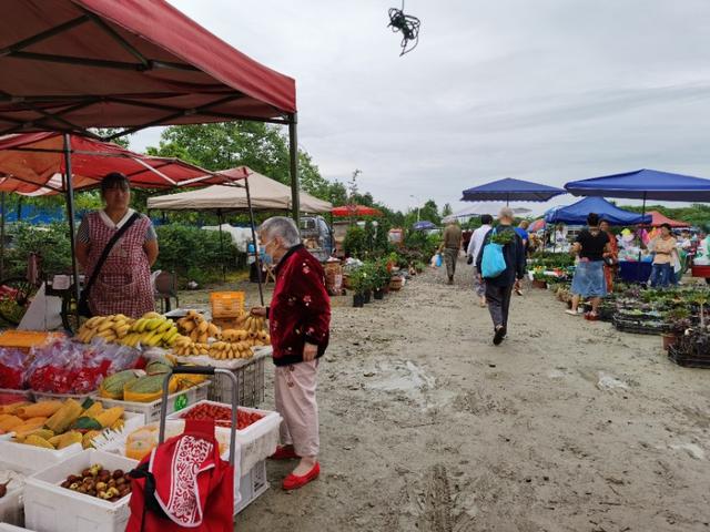带妈妈去青城山避暑,陪父母游四川青城山