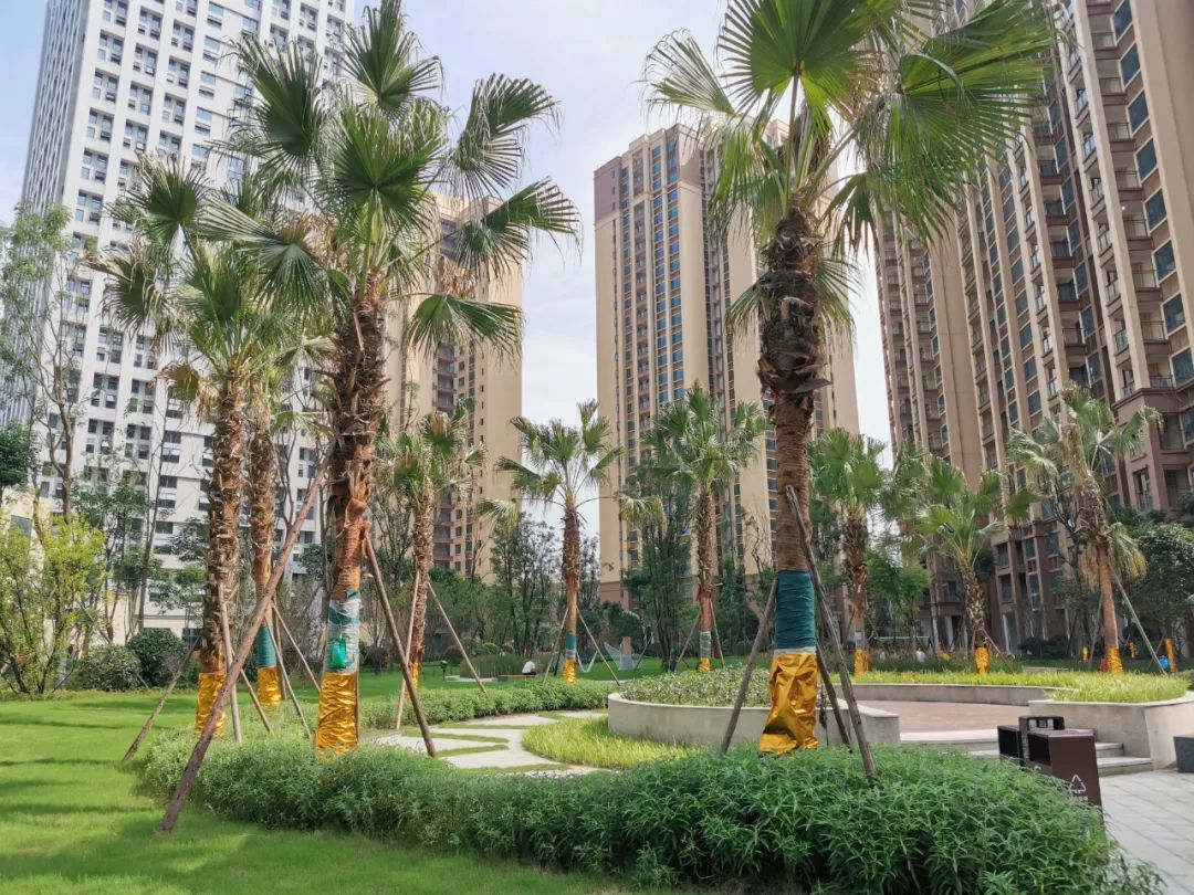 都江堰近10年房价变化,都江堰最大在售带花园的房子