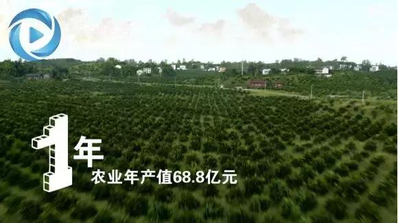 100秒看重庆忠县,重庆长寿视频完整版