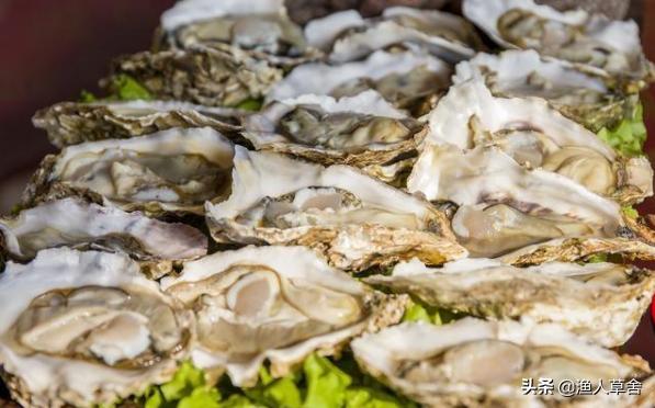 威海乳山牡蛎生蚝,乳山生蚝鲜活大牡蛎