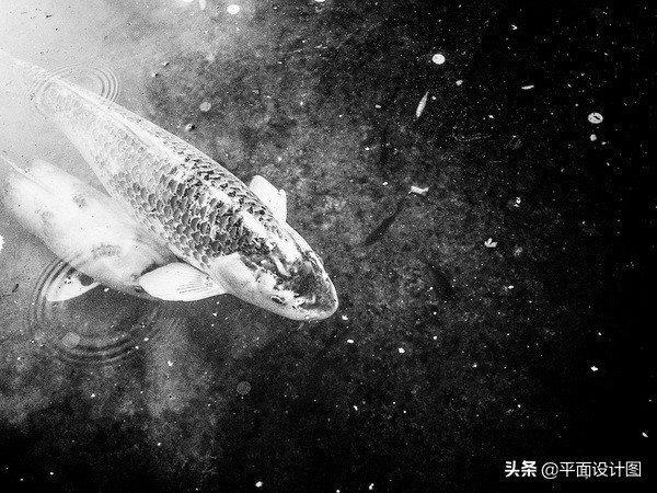 经典延续儿时回忆录,ricohgr效果