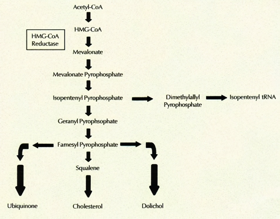 降胆固醇的药常吃有坏处吗,降胆固醇药副作用有哪些
