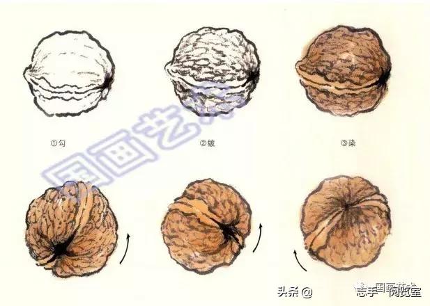 八种常见蔬菜画法,各种蔬菜画法