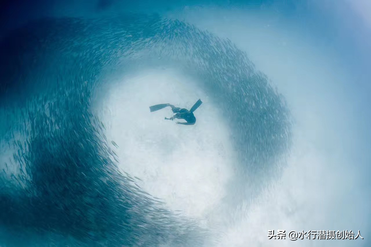 帕劳岛自由行潜水,帕劳水母湖自由潜视频