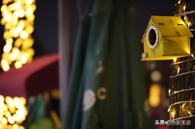 佳能rf24-105mmf2.8镜头评测,无忌测试