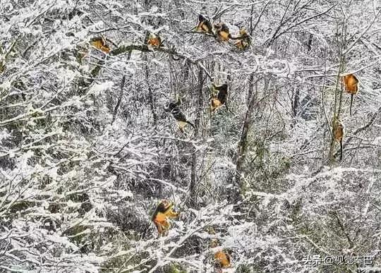 据说，2018年四川最厉害的新闻摄影都在这里