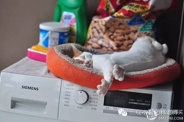 玩文玩的十大忠告,从文玩小白到入门要踩哪些坑