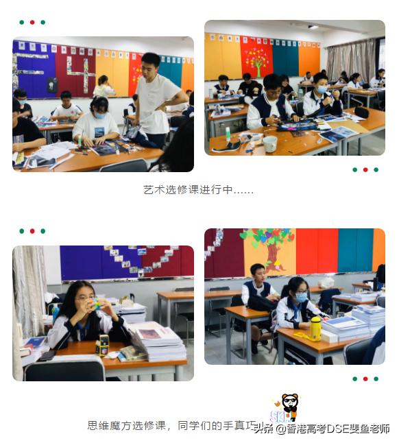 鲸帆dse国际,鲸帆dse国际学校创作人