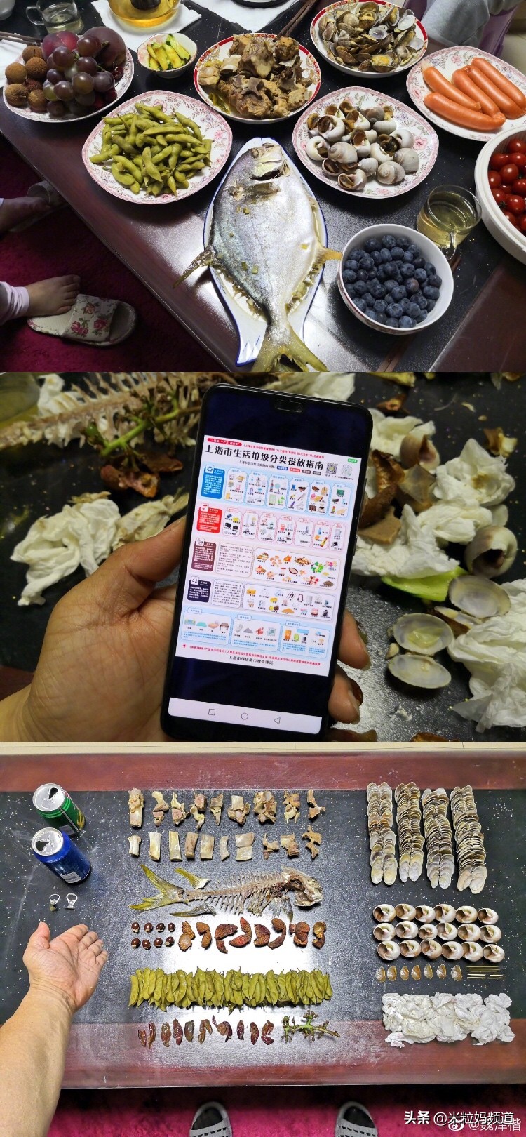 全国人民看江浙沪,上海垃圾分类现在怎样了