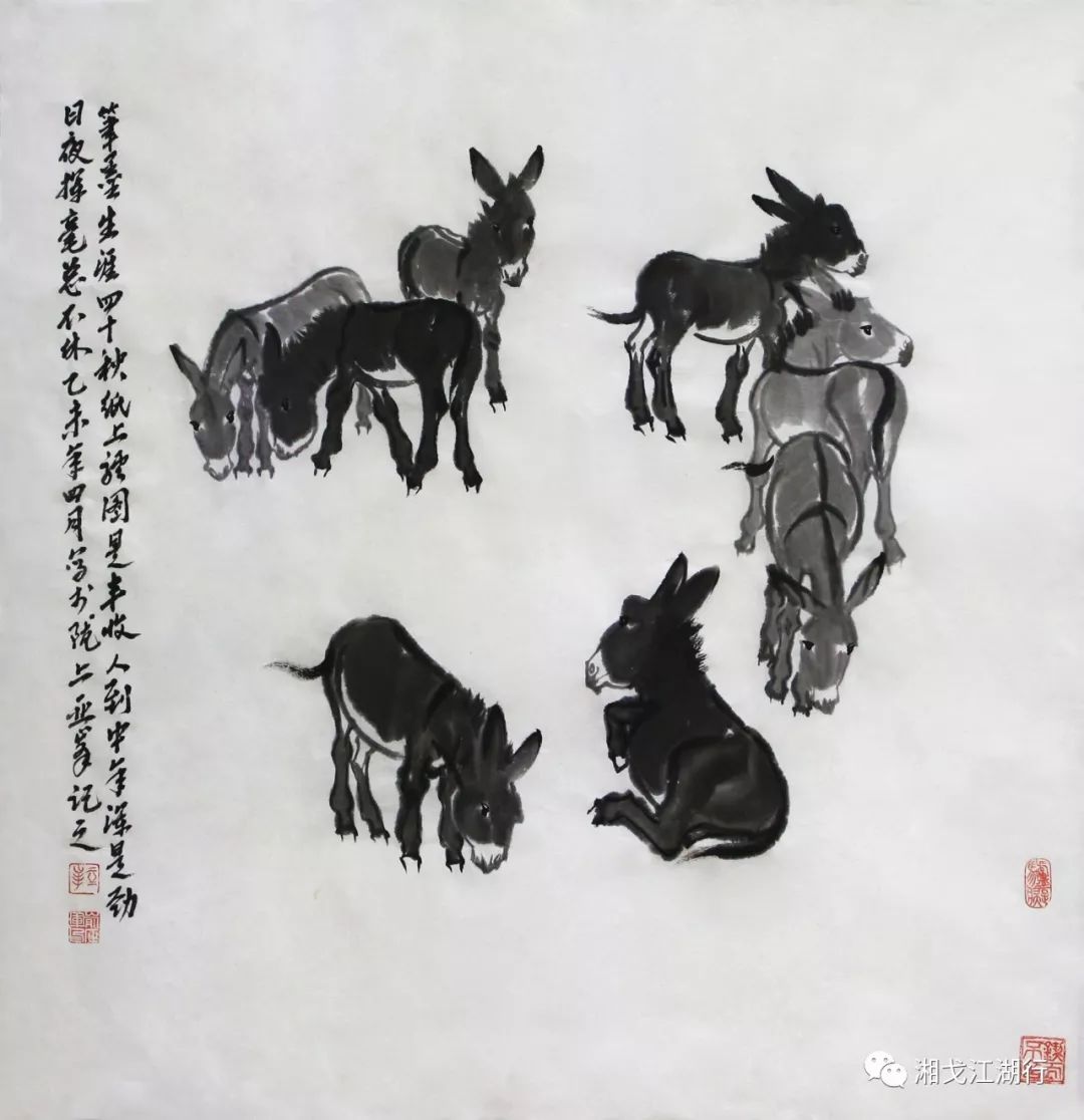 俞正军：西北“驴痴”的驴样人生