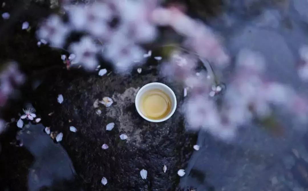 中医刘炳凡,中医刘炳凡治什么病