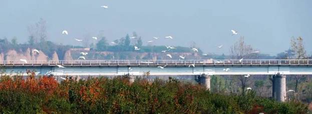阎良最美石川河,阎良石川河秋日美景